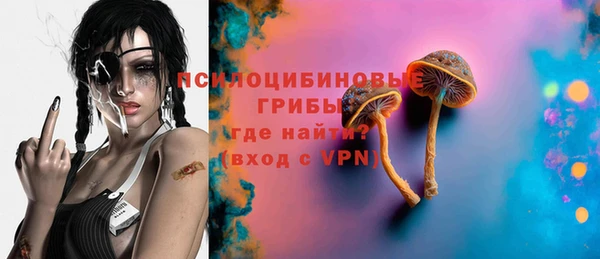 ешки Богородицк