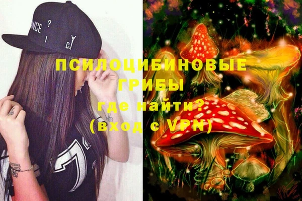 индика Россошь