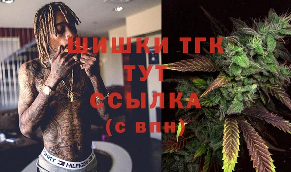 индика Россошь