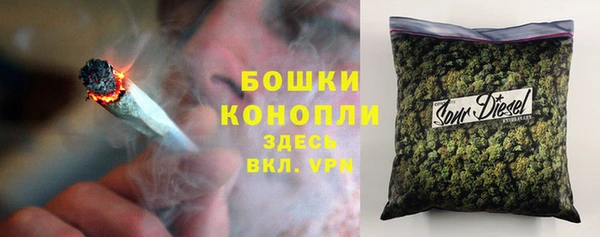 индика Россошь