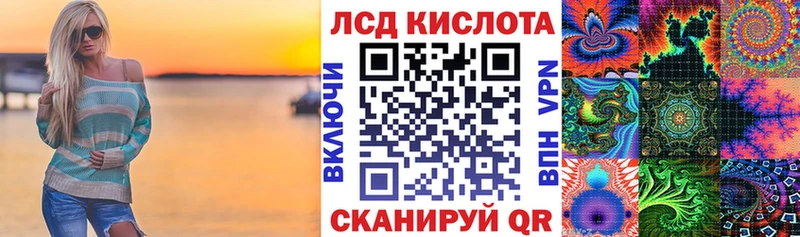 дарнет шоп Петропавловск-Камчатский кракен как зайти Наркотические марки 1,8мг